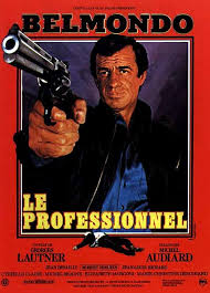 LE PROFESSIONNEL